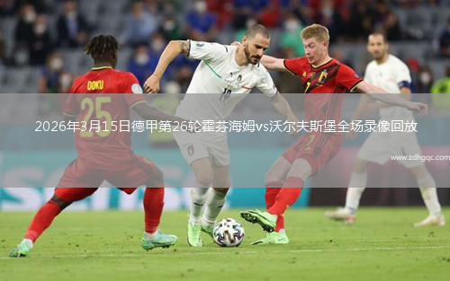 2026年3月15日德甲第26轮霍芬海姆vs沃尔夫斯堡全场录像回放