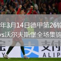 2026年3月14日德甲第26轮霍芬海姆vs沃尔夫斯堡全场集锦