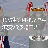 TSV维多利亚克拉霍尔茨VS波鸿二队