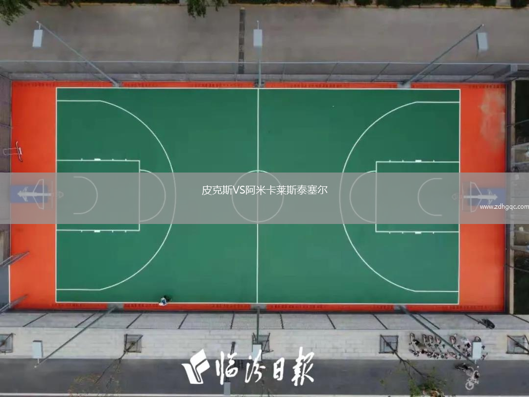 皮克斯VS阿米卡莱斯泰塞尔