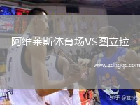阿维莱斯体育场VS图立拉