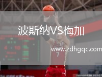 波斯纳VS梅加