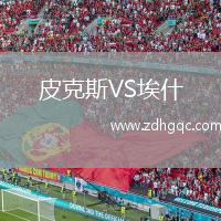 皮克斯VS埃什