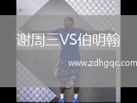 谢周三VS伯明翰