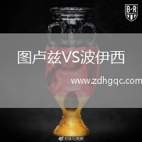 图卢兹VS波伊西