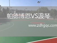 帕德博恩VS波琴