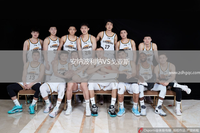 安纳波利纳VS戈亚斯