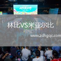 林比VS米亚尔比