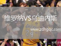 维罗纳VS乌迪内斯