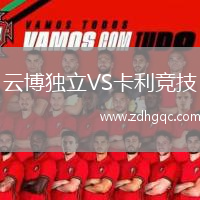 云博独立VS卡利竞技