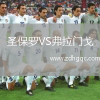 圣保罗VS弗拉门戈