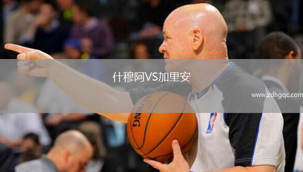 什穆阿VS加里安