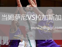 当姆萨尼VS拉加斯加