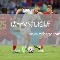 法菲VS托伦斯