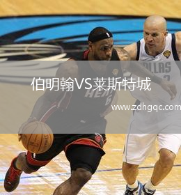 伯明翰VS莱斯特城