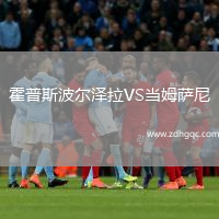 霍普斯波尔泽拉VS当姆萨尼
