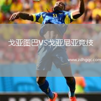 戈亚图巴VS戈亚尼亚竞技