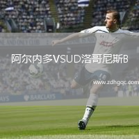 阿尔内多VSUD洛哥尼斯B