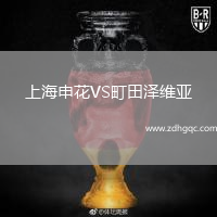 上海申花VS町田泽维亚