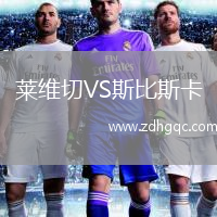 莱维切VS斯比斯卡