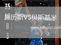 施历斯VS贝斯基米