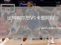 比特布尔思VS卡里阿利