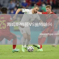 海姆斯特滕VS翁特哈兴