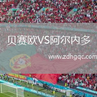 贝赛欧VS阿尔内多