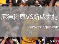 尼德科恩VS斯威夫特