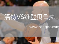洛特VS维登贝鲁克