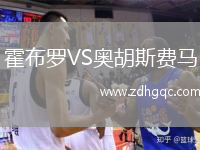 霍布罗VS奥胡斯费马