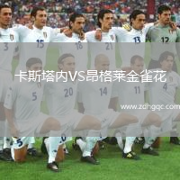 卡斯塔内VS昂格莱金雀花