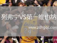 列弗宁VS第一维也纳