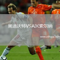 奥迪沃特VSAIK索尔纳