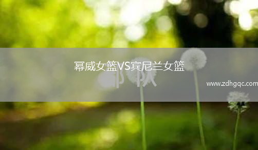 幂威女篮VS宾尼兰女篮