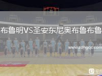 布鲁明VS圣安东尼奥布鲁布鲁