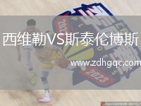 西维勒VS斯泰伦博斯