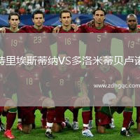特里埃斯蒂纳VS多洛米蒂贝卢诺