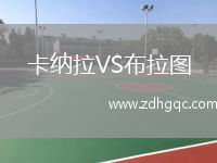卡纳拉VS布拉图