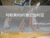 特勒莫利VS塞尼加利亚