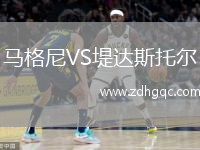 马格尼VS堤达斯托尔