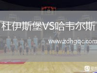 杜伊斯堡VS哈韦尔斯