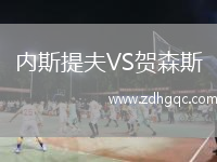 内斯提夫VS贺森斯