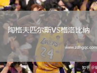 陶格夫匹尔斯VS格洛比纳