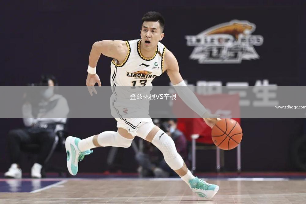 登兹林根VS辛根