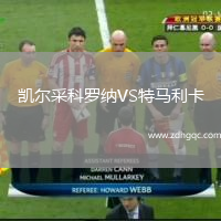 凯尔采科罗纳VS特马利卡