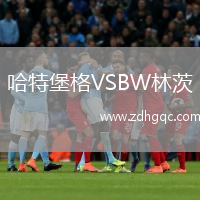 哈特堡格VSBW林茨
