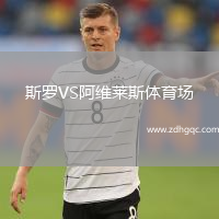 斯罗VS阿维莱斯体育场