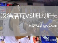 汉德洛瓦VS斯比斯卡