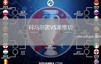 科马尔诺VS莱维切